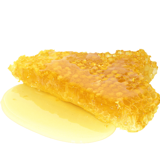 honungskaka honung